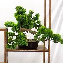 7824-06_RXKDO.webp