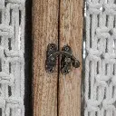 7784-03_WKCXB (1).webp