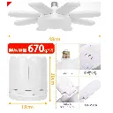0690-2 (1).webp