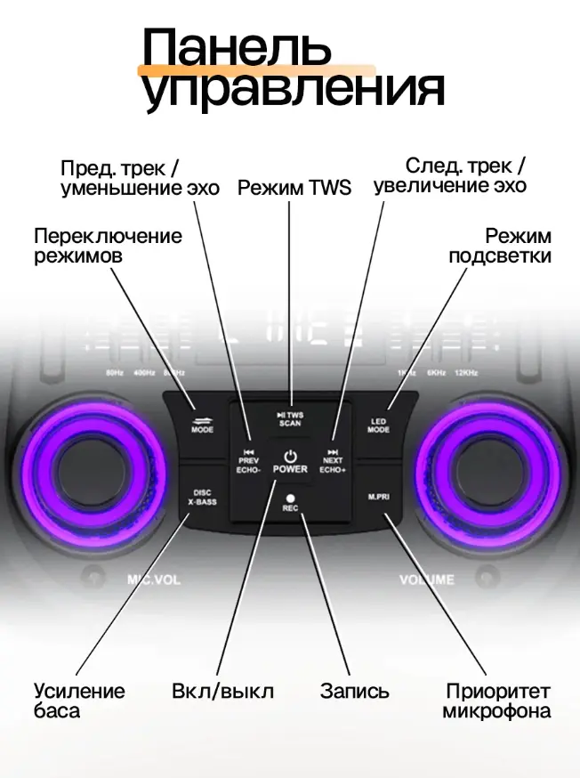 MRD-81306.webp