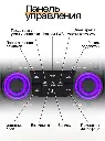 MRD-81306.webp