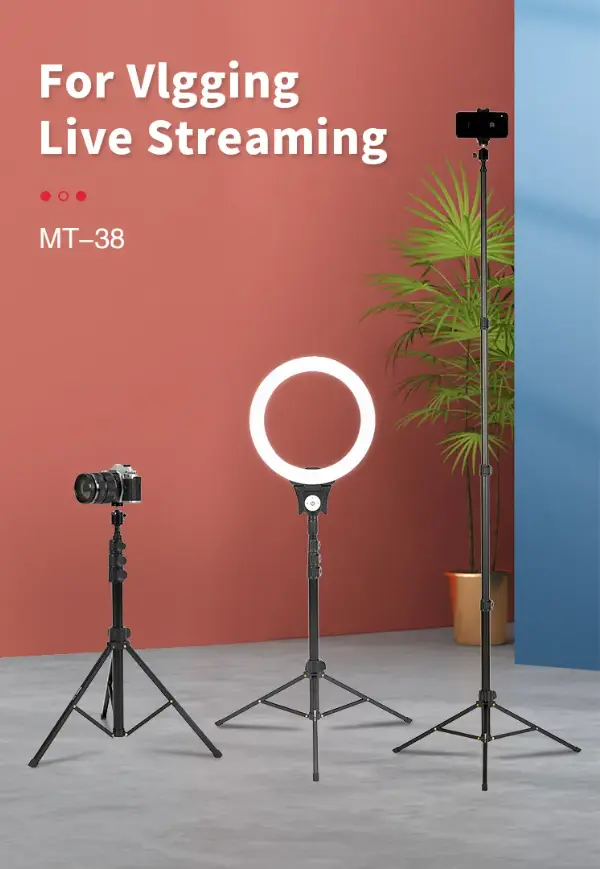 MT-38-13.webp