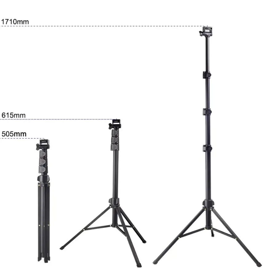 MT-36-11.webp