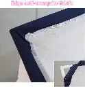 10613-02.webp