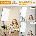 01290-07.webp