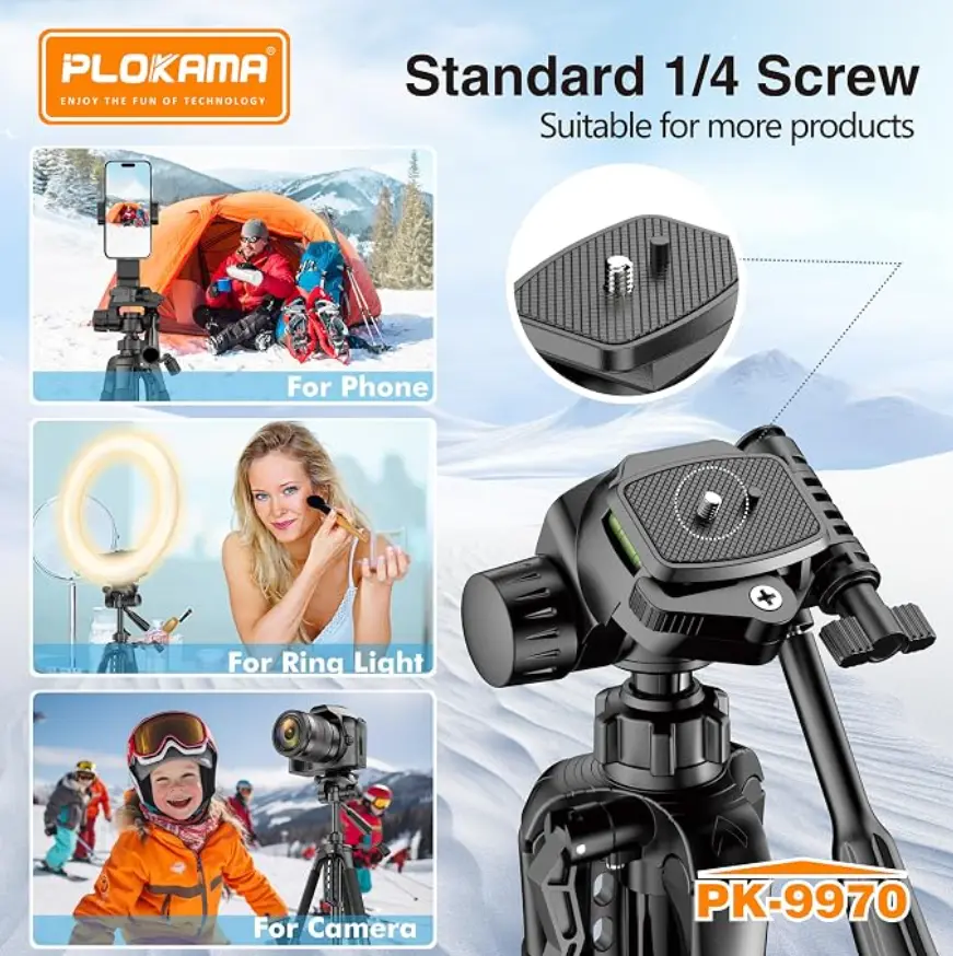 01312-06.webp