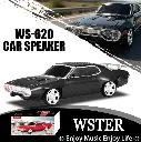 WS-620-09.webp