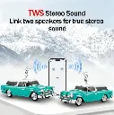 WS-1955-06.webp