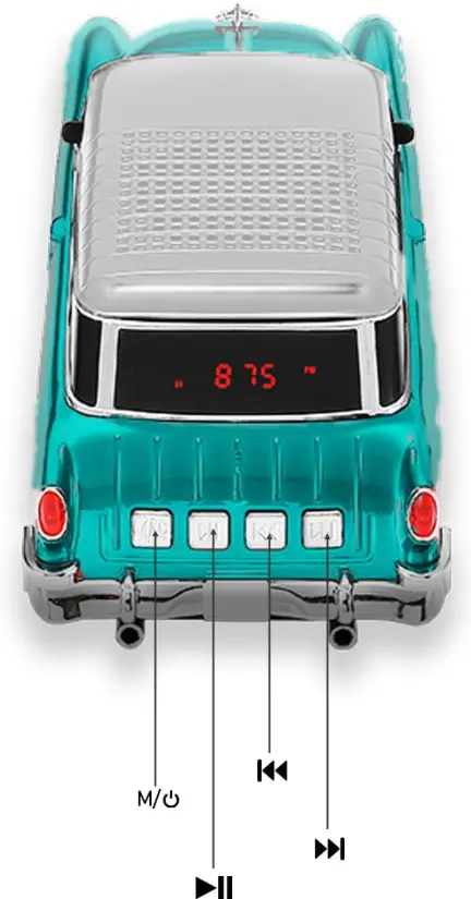 WS-1955-10.webp