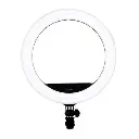 Halo Live Pro RGB LED Ring Light 8"