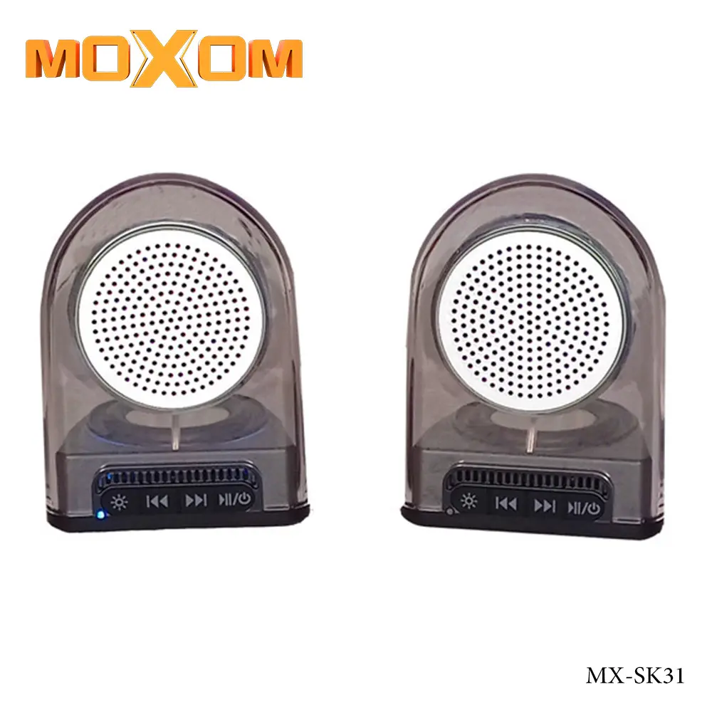 MX-SK31، مكبر صوت لاسلكي مزدوج شفاف بإضاءة ضوء ملوّن