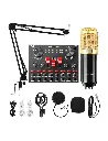 Professional Condenser Microphone Legandry Vocal 