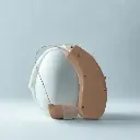 Earphone TE-008