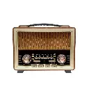 مكبر صوت راديو M-2025BT