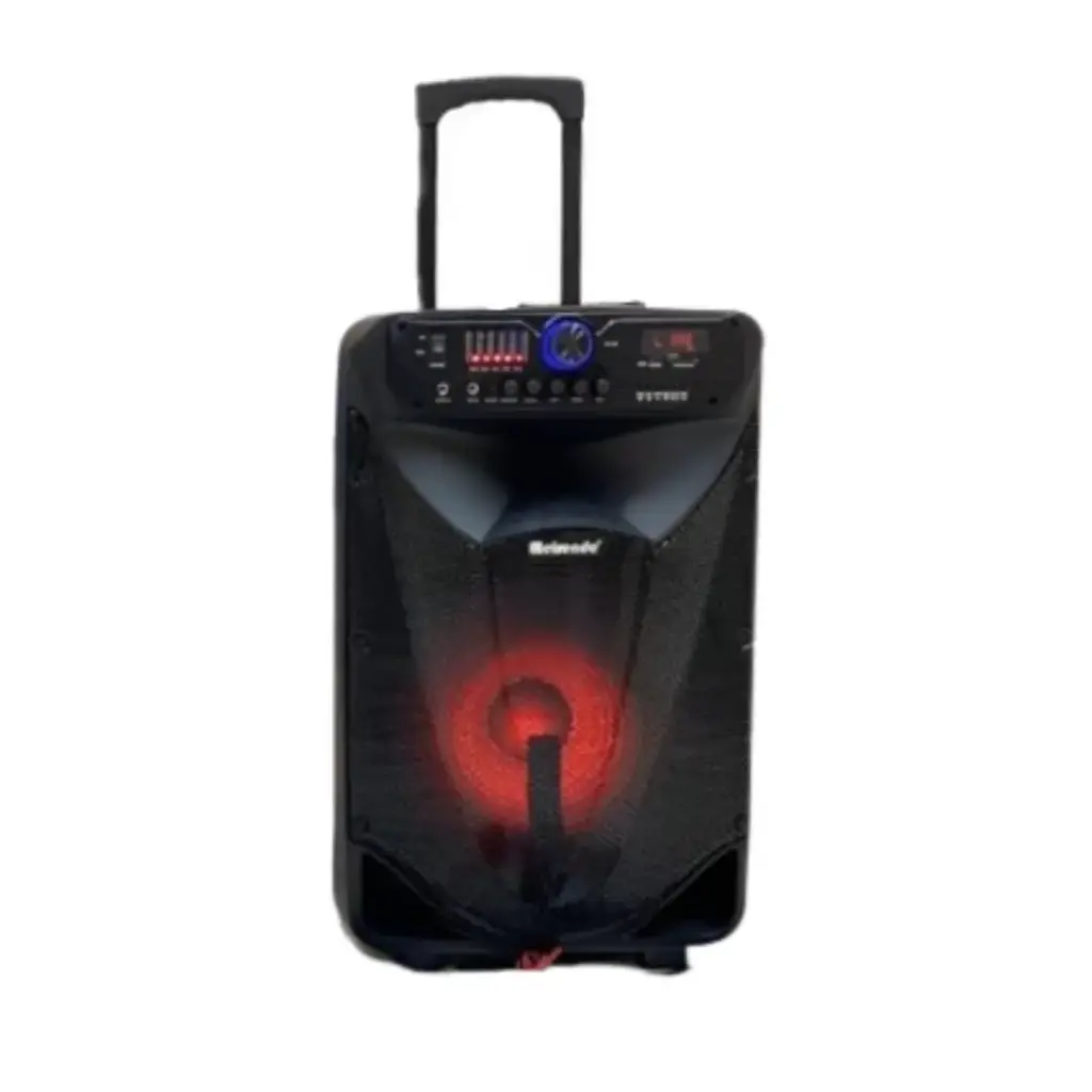 مكبر صوت احترافي مقاس 15 بوصة مع أداء صوتي ممتاز وإضاءة LED MR-301