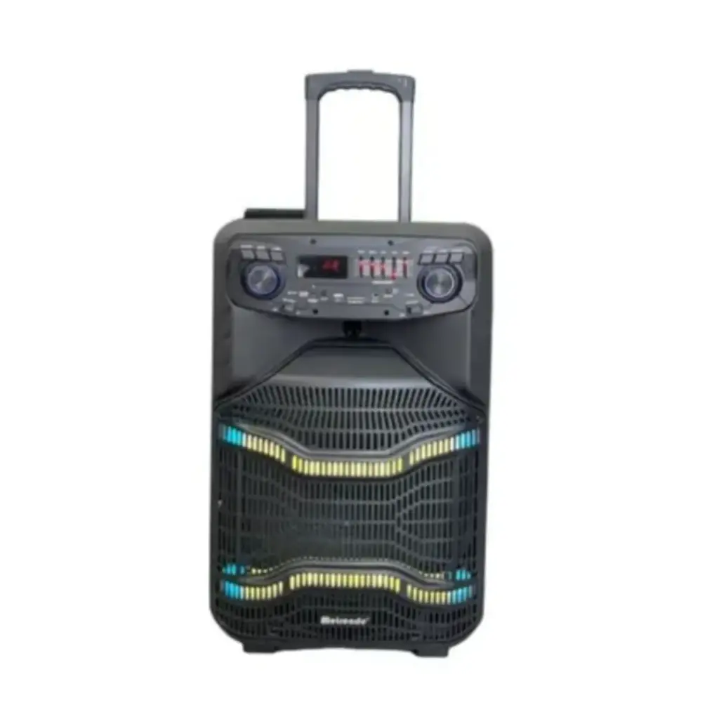 Meirende Karaoke Bluetooth Speaker with Remote and Wireless Microphone
