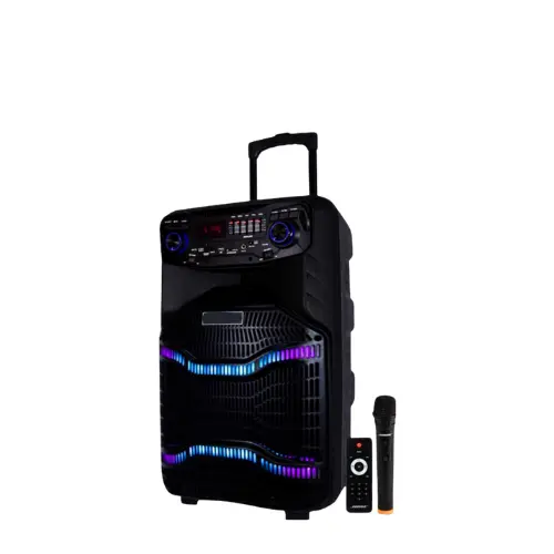 Merinde K9-15 15-inch Wireless BT Karaoke Speaker