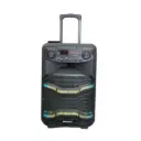 Meirende Karaoke Bluetooth Speaker with Remote and Wireless Microphone