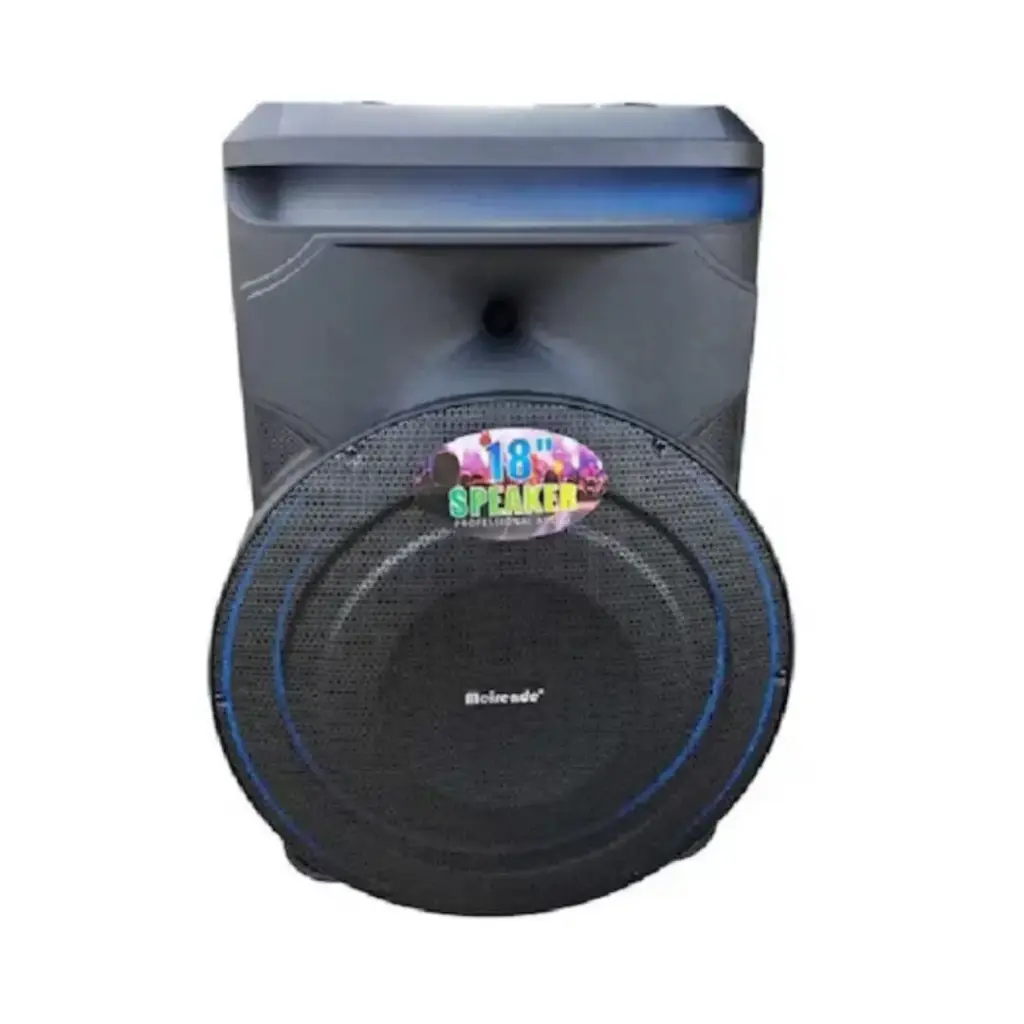 Meirende Wireless Party Speaker  18″ with Mic & Lights