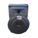 Meirende MR-1820 Wireless Party Speaker  18″ with Mic & Lights