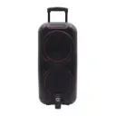 Meirende MRD-1212V Platinum Professional Party Speaker with Dual 12-Inch Drivers