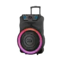 Meirende Portable 18-Inch Bluetooth Party Speaker with Dual Wireless Microphones
