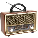 مكبر صوت راديو M-157BT