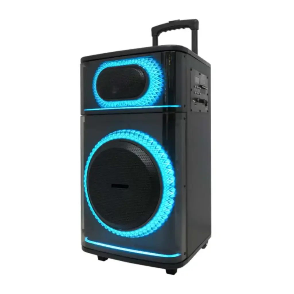 Meirende 12" Inch Party Speaker with Remote Control and Microphone