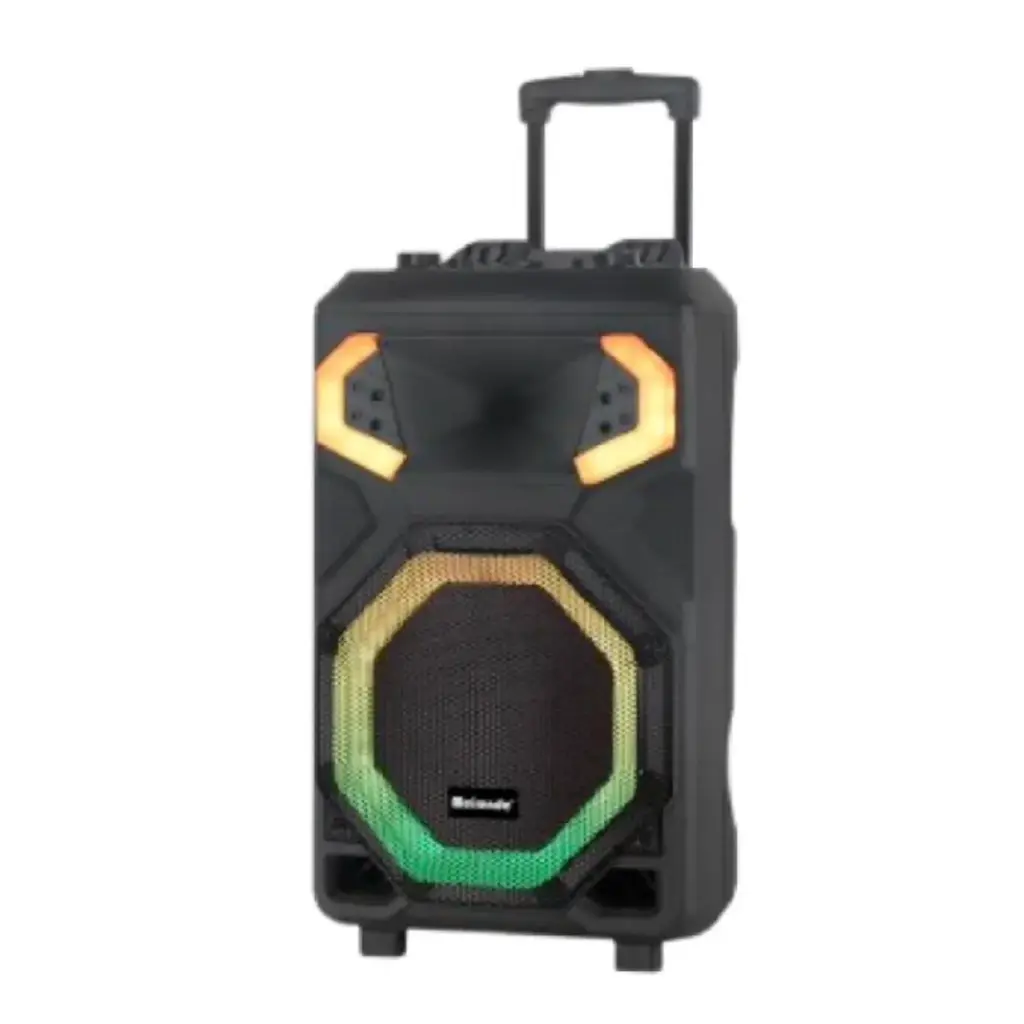Meirende MRD‑1201 Portable 12″ Bluetooth Karaoke Speaker with Trolley Design, Wireless Mic & LED Lights