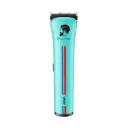 VGR V‑160 | Professional Hair Clipper | 8000 RPM Motor, Dual Battery System