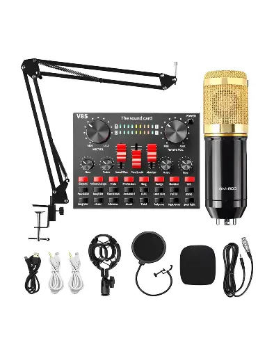[11551] Professional Condenser Microphone Legandry Vocal 