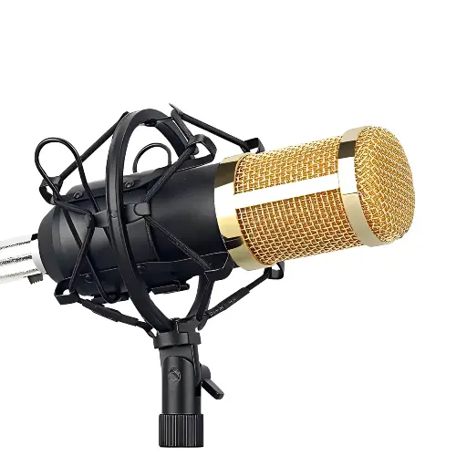 [10418] Professional Condenser Microphone Legandry Vocal  