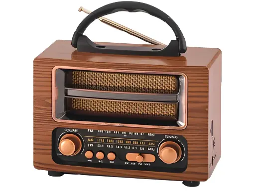 [592] Radio Speaker NS-6637