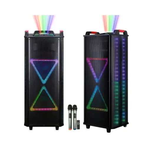 TD1222 12" TWS Dual Wireless Karaoke Speaker With LED Display 