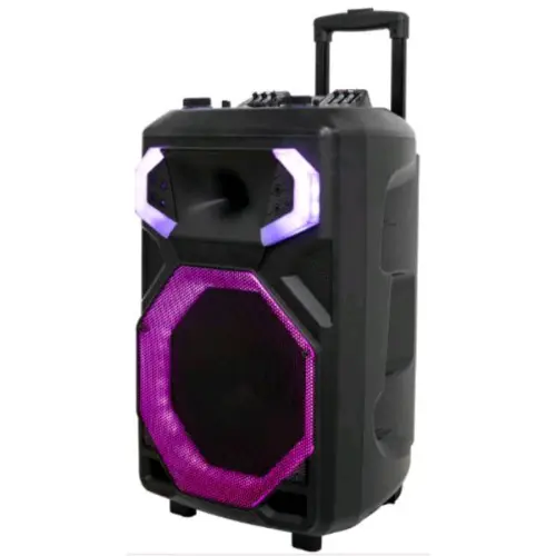 MRD-1501 8" Portable RGB Multimedia Speaker