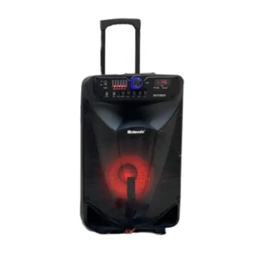 [MR-301] مكبر صوت احترافي مقاس 15 بوصة مع أداء صوتي ممتاز وإضاءة LED MR-301
