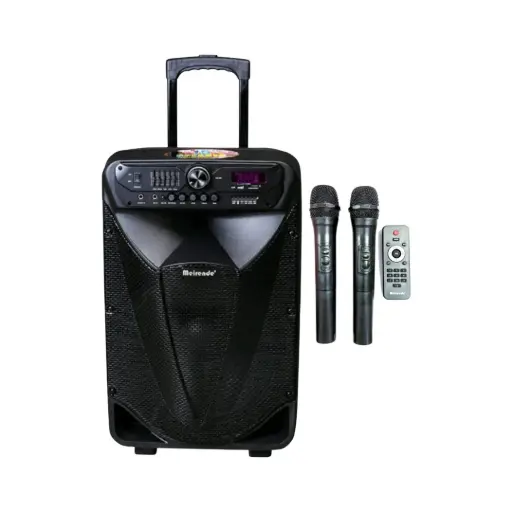 15" Speaker With Sound Performance LED Light MR-301