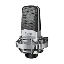 [00716] TAKSTAR SM-18 EL Professional Recording Microphone