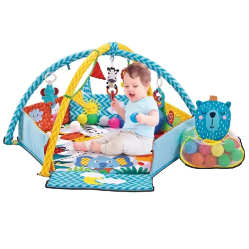 [7024] Baby Play Mat with Play Arch & Balls Side Walls