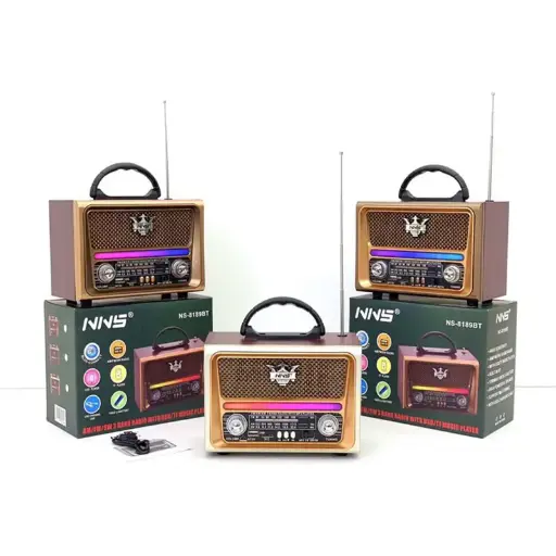 [595] Radio Speaker NS-8189BT