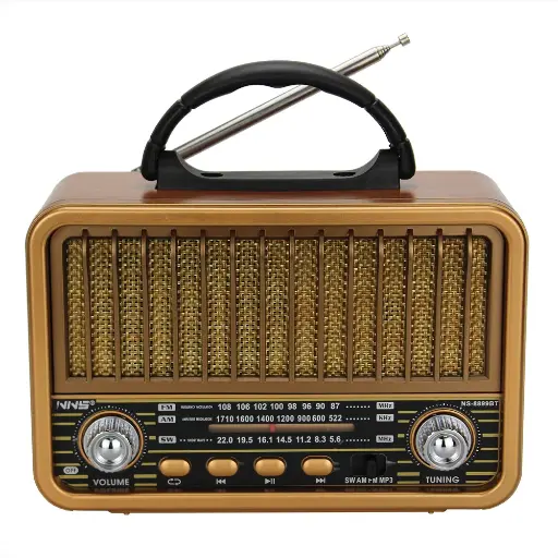 [593] Radio Speaker NS-8899BT 